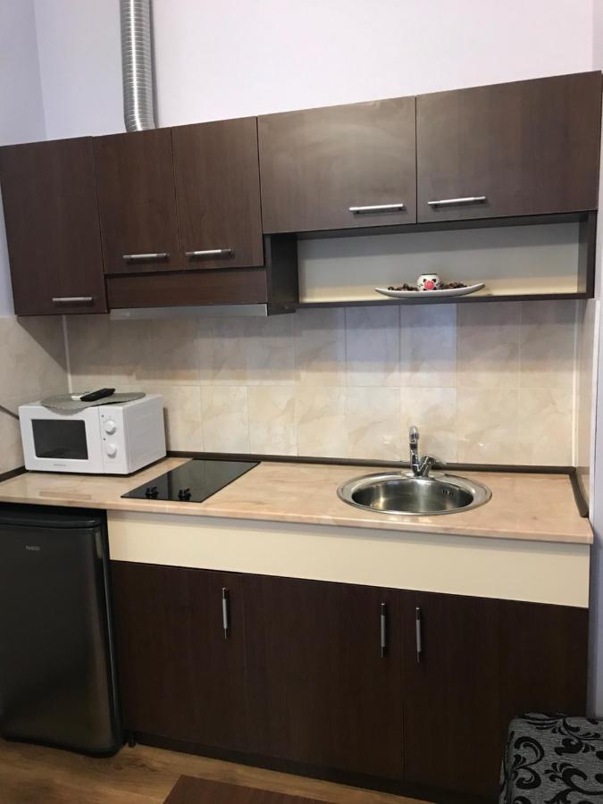 Кедър Sapareva Banya Ngoại thất bức ảnh